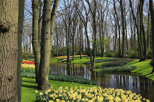 parc keukenhof