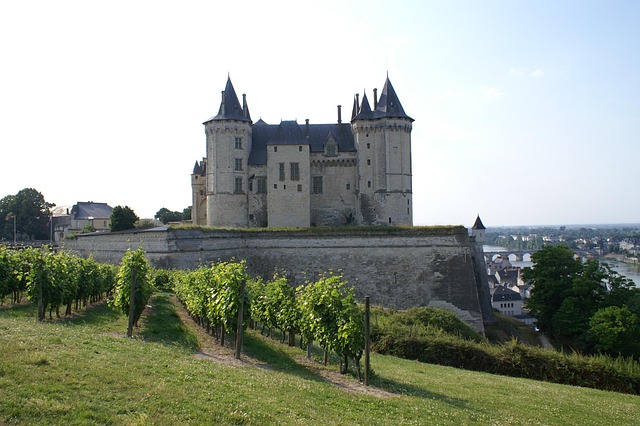 saumur-chateau-loire